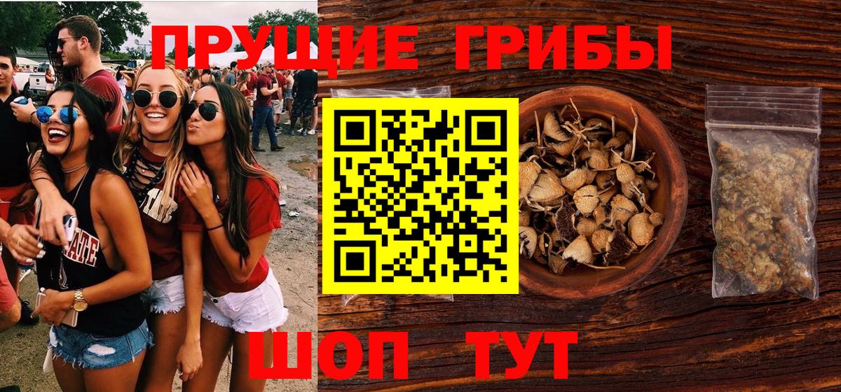 Норильск  Галлюциногенные грибы прущие грибы  Вход с VPN 